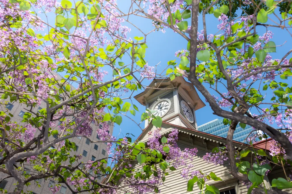 Sapporo Clock Tower