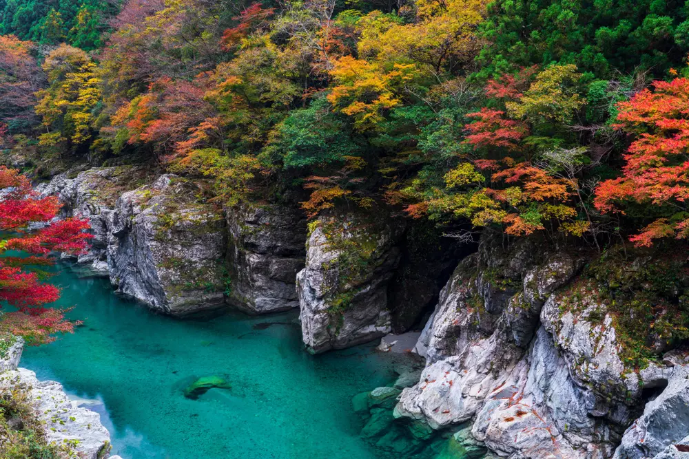 tokushima