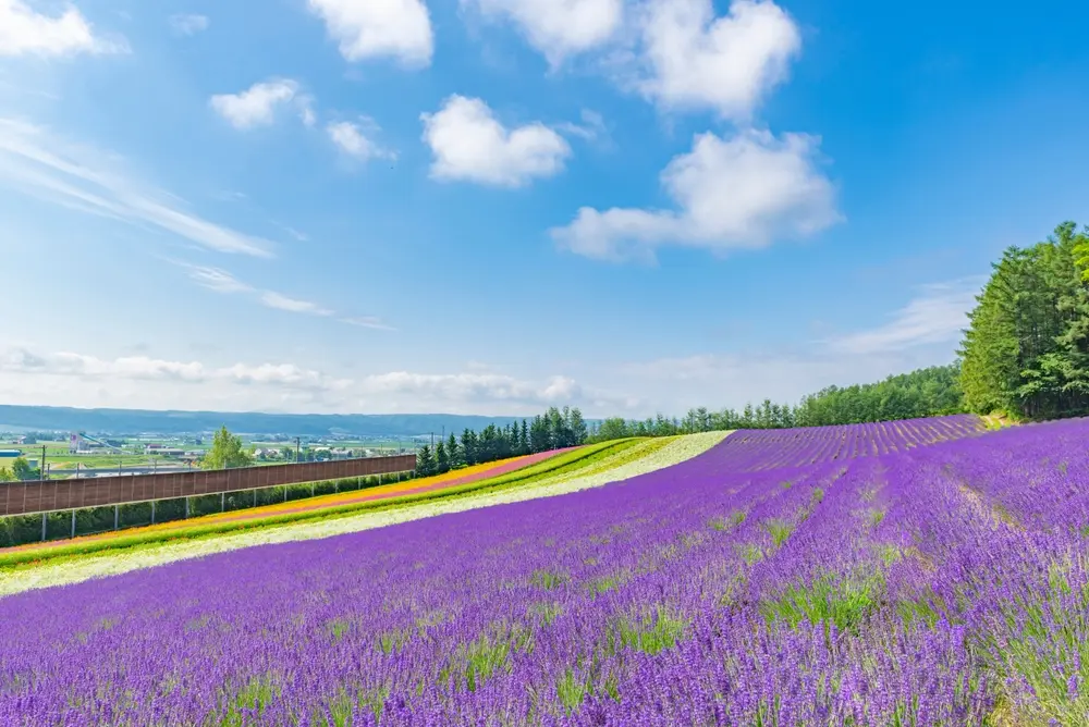 hokkaido