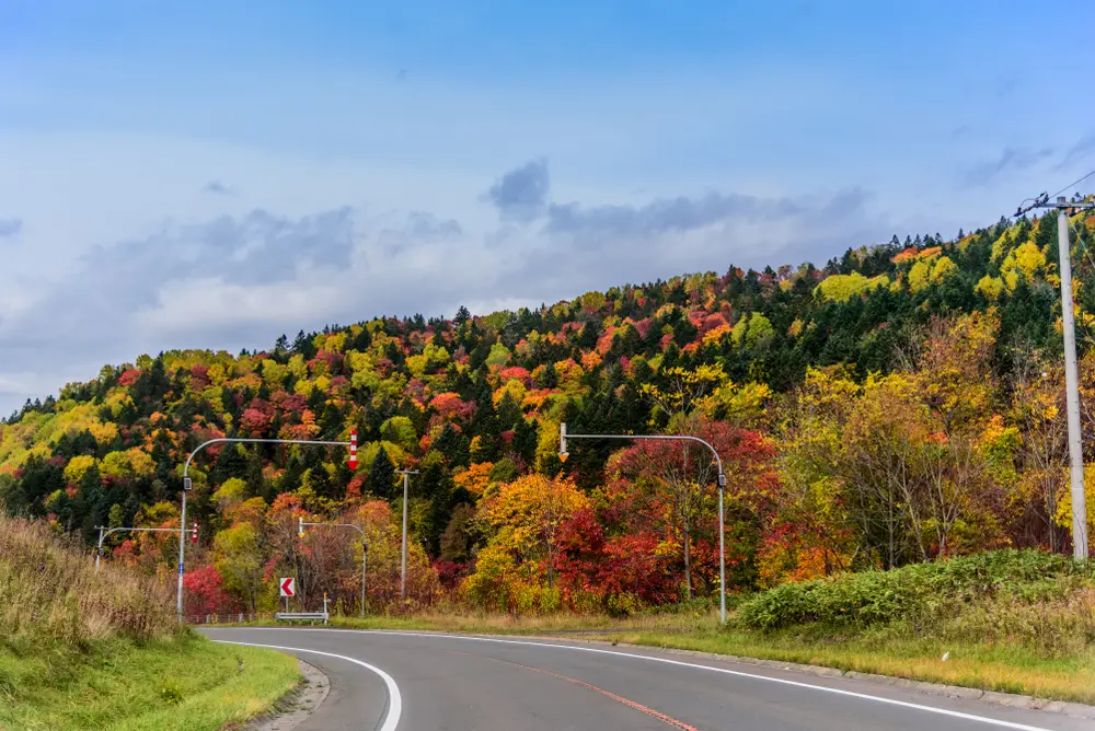 furano