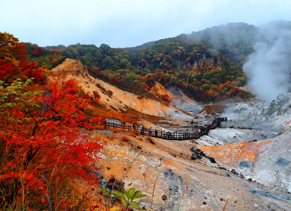 Hookaido Autumn