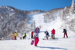Hookaido Ski