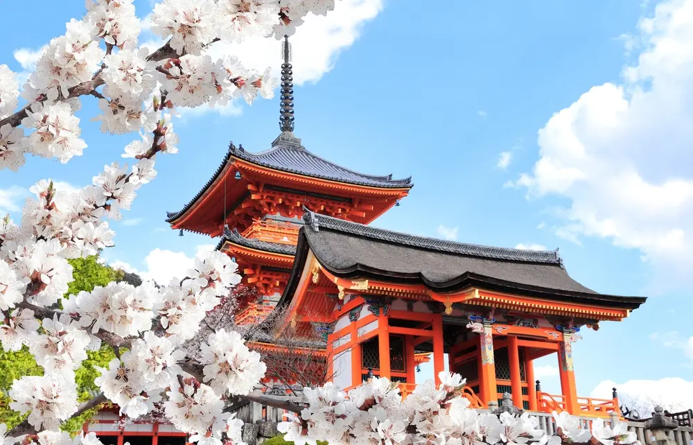 Kiyomizu dera Spring