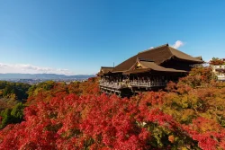 kiyomizu dera