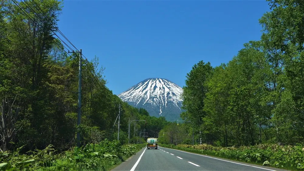 Hookaido Summer