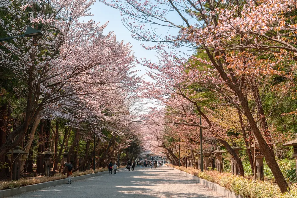 maruyama park