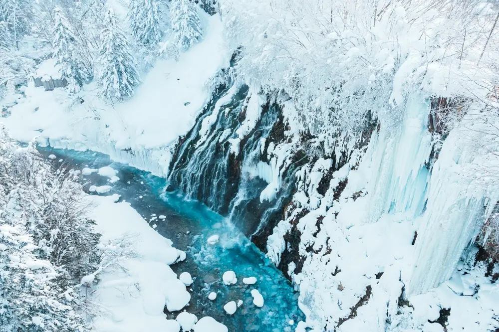 Hokkaido Winter