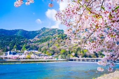 Arashiyama