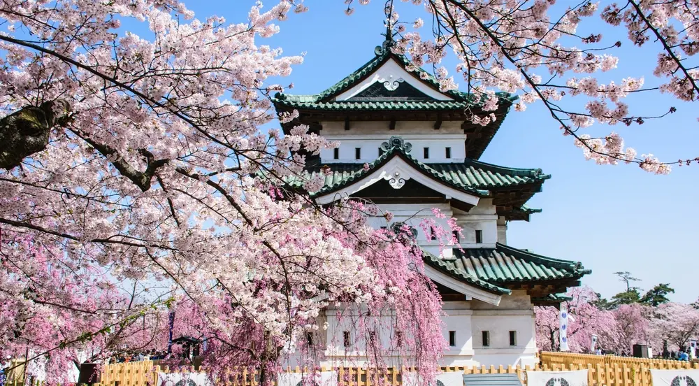 Discover the Charm of Hirosaki Castle in Aomori | La La Love NIPPON