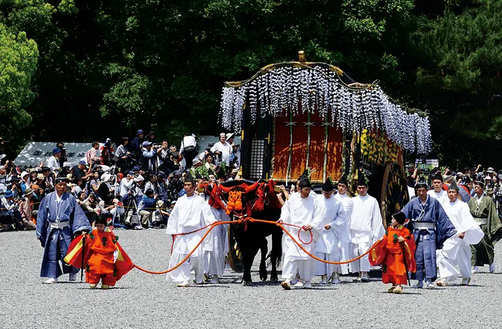 Aoi Matsuri