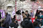 Kyoto's Plum Blossom Festival