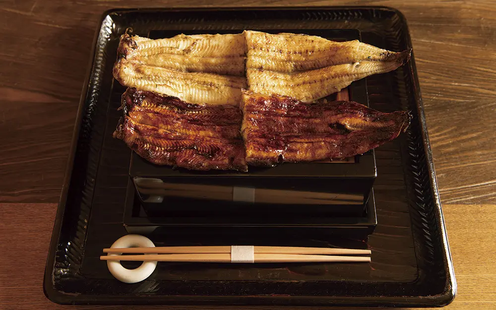 hearty bowl of unagi (eel) rice