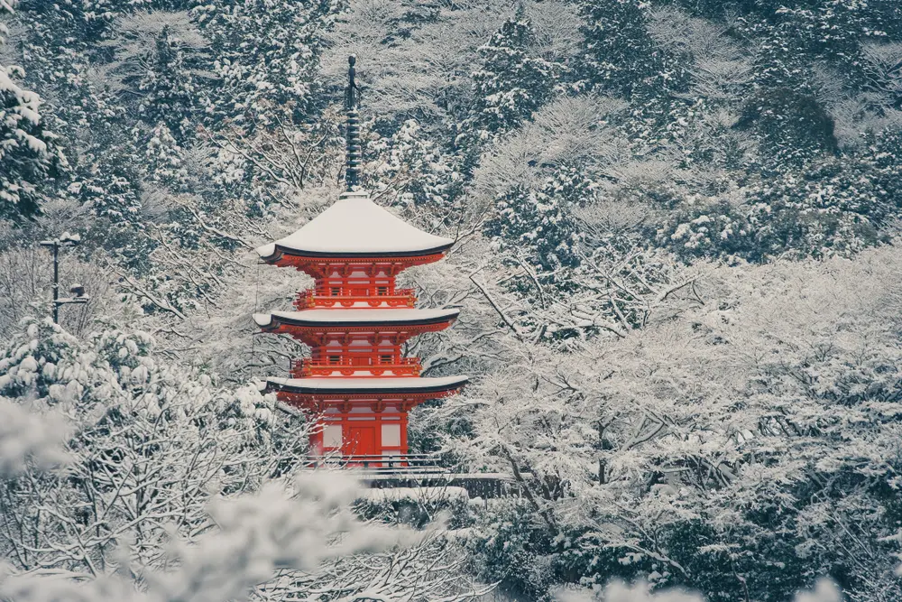 Winter of Kyoto