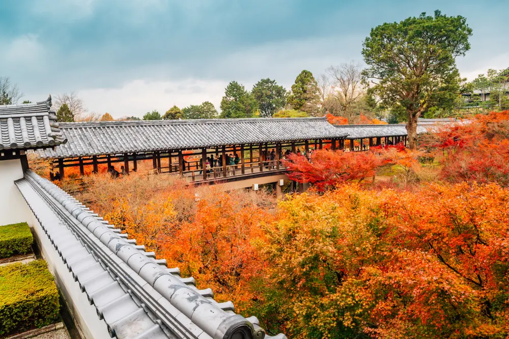 Kyoto in Autumn: Your Ultimate Guide to Momiji Gari (Leaf Peeping) | La ...