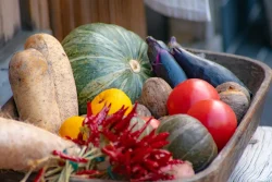 Kyoto Vegetables