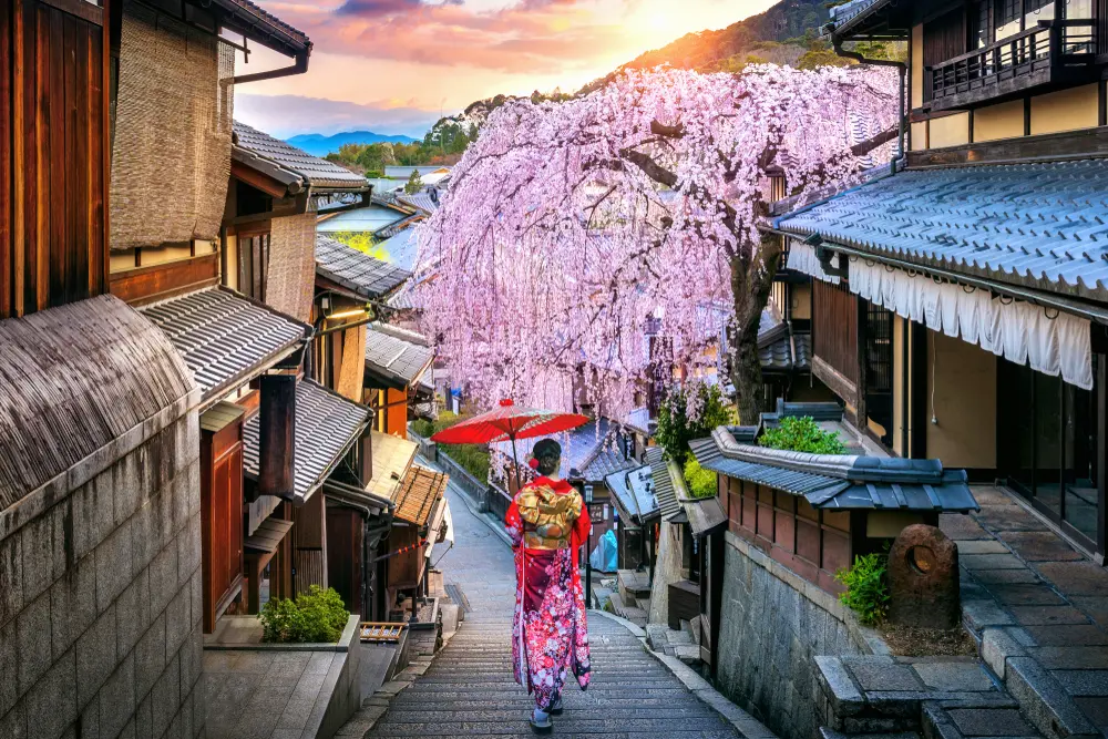 Spring of Kyoto