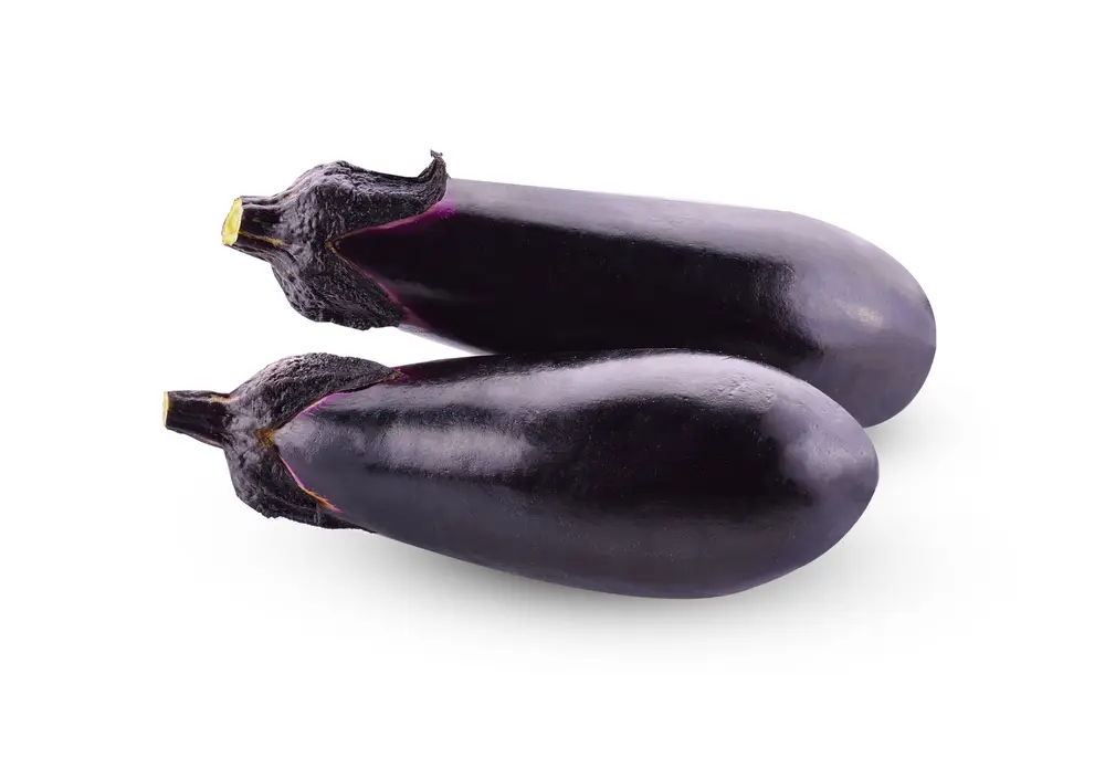 eggplant