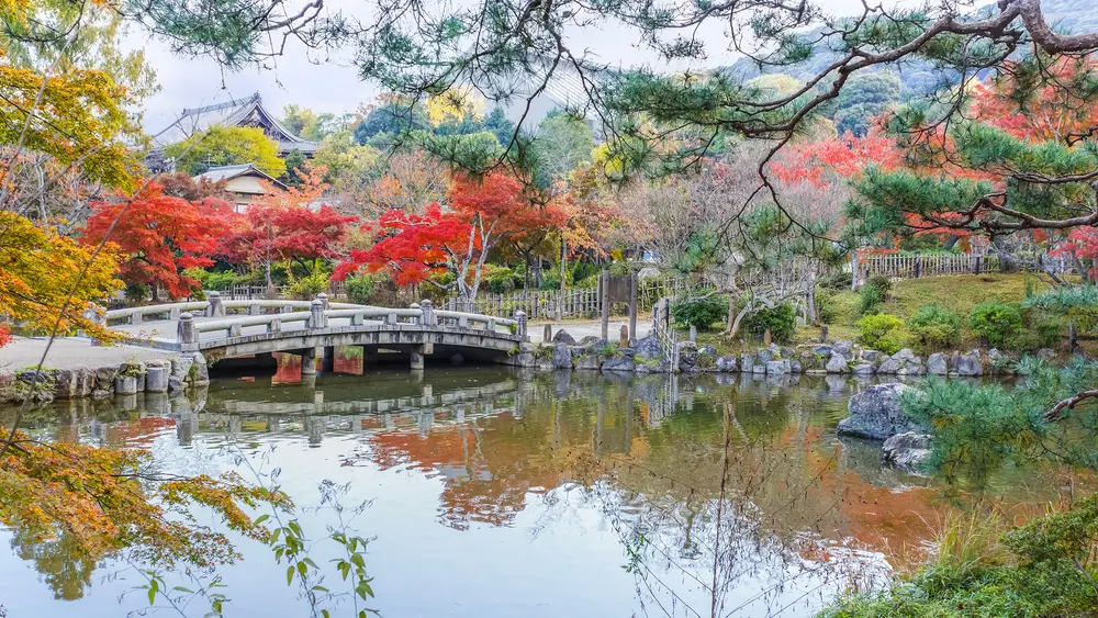 Kyoto Maruyama Park