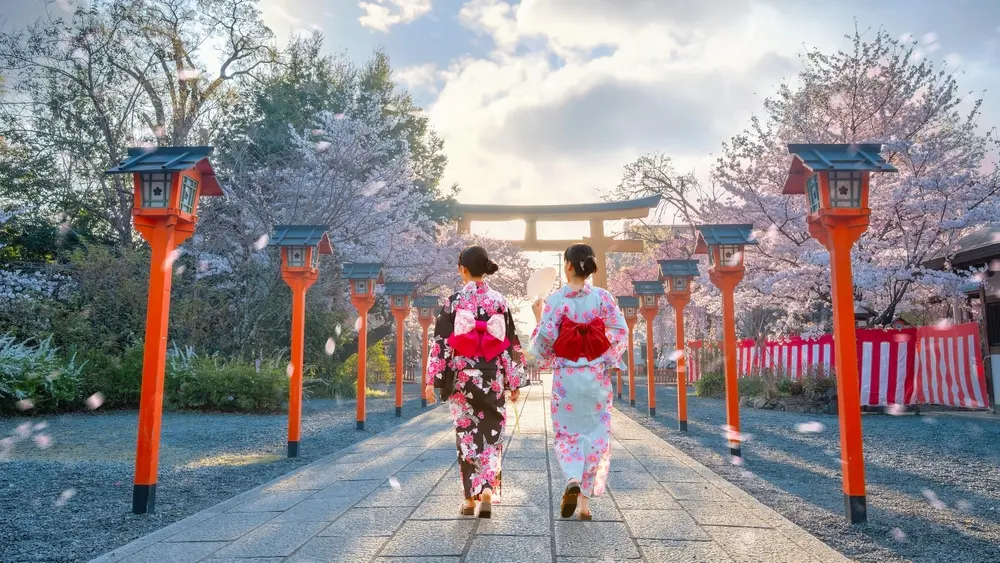 kyoto hanami