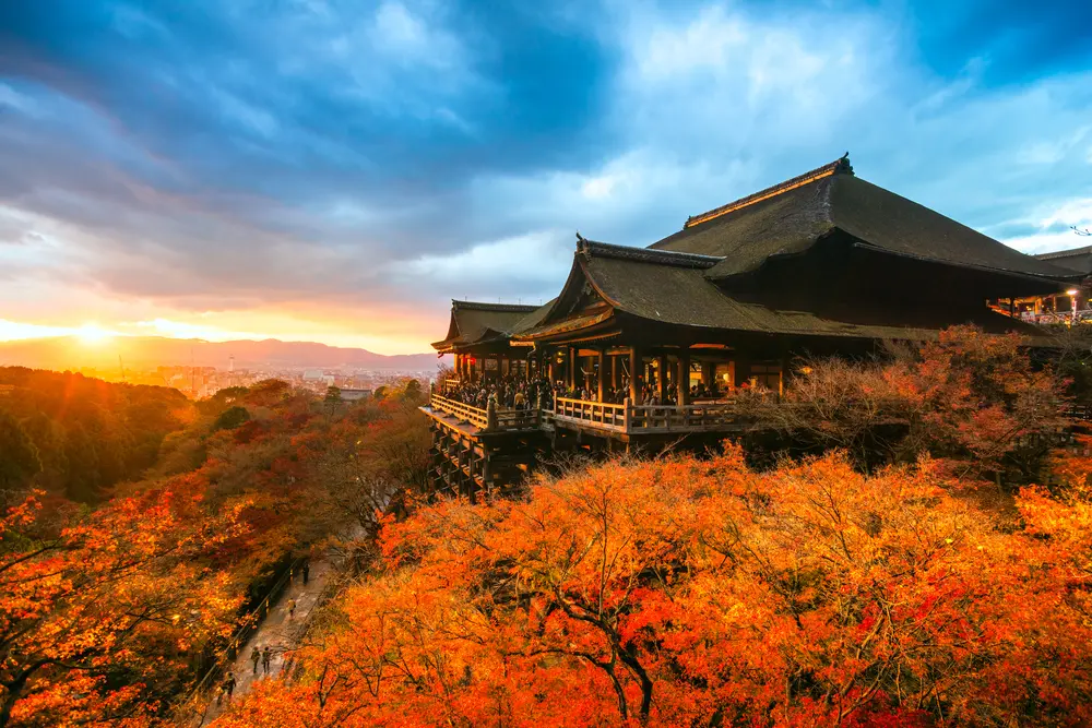 Kyoto Momiji gari