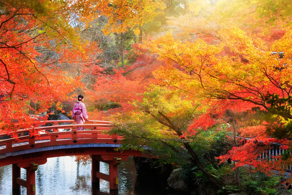 Autumn of Kyoto
