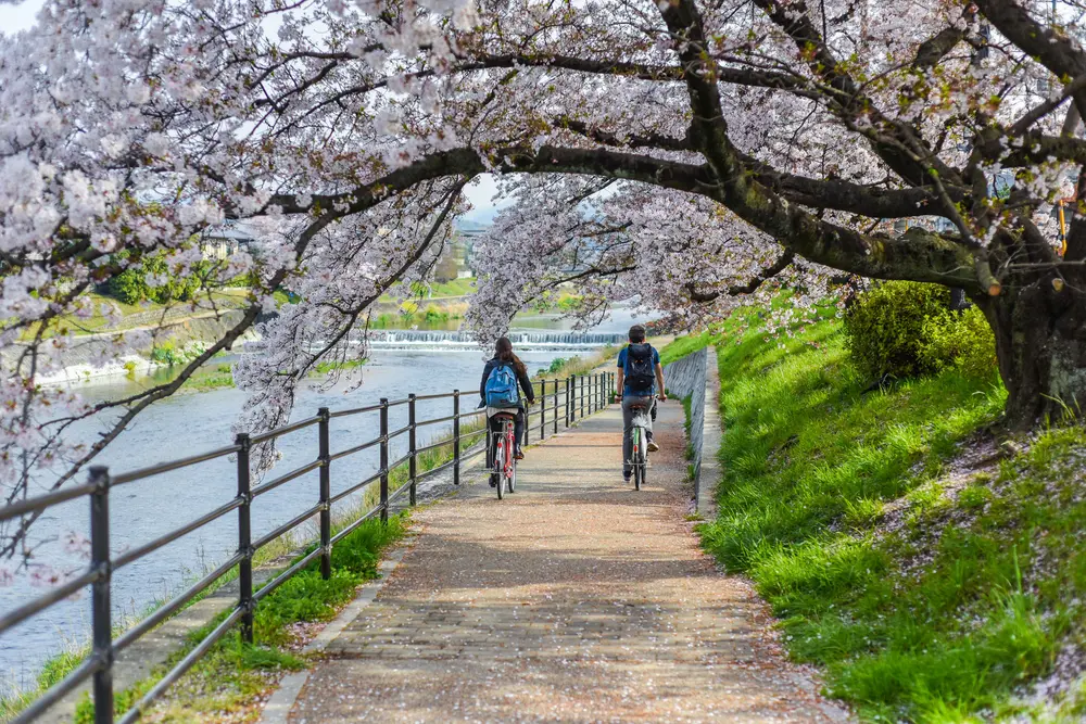 Cycling of Kyoto