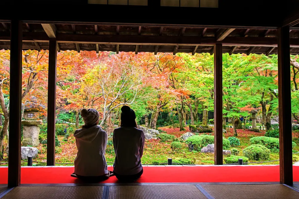 Kyoto Momiji gari