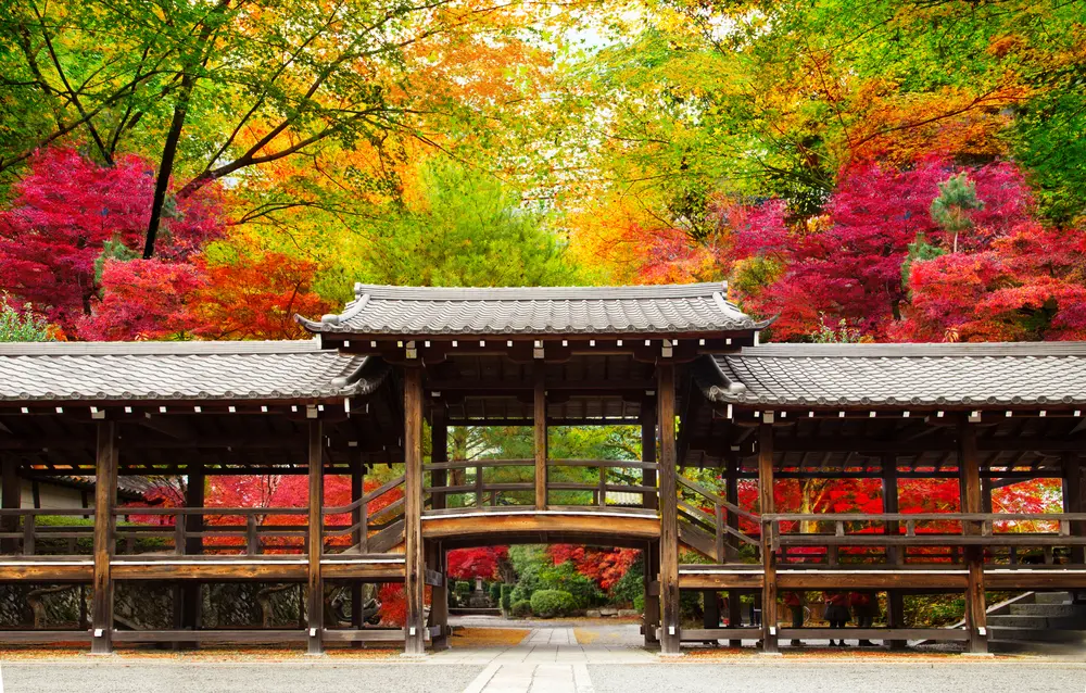 Kyoto in Autumn: Your Ultimate Guide to Momiji Gari (Leaf Peeping) | La ...