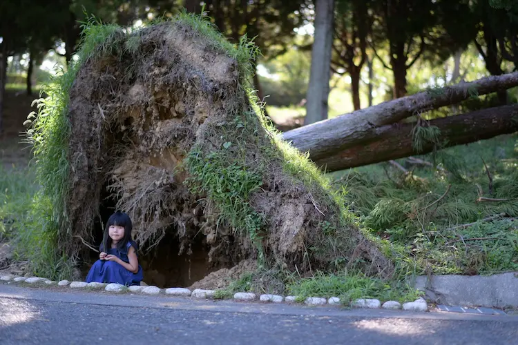 After the typhoon. Snapped a pic in front of a massive fallen tree.