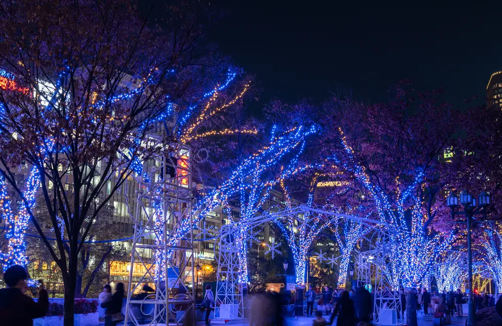 Osaka Midosuji Illumination