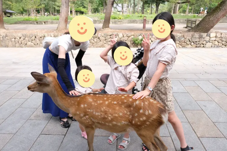 Nara Park