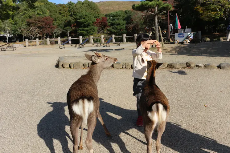 Nara Park