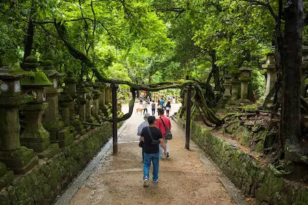 Kasugayama Primeval Forest