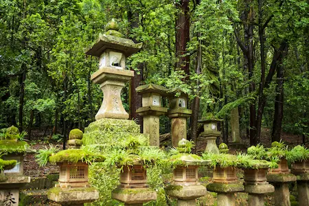 Kasugayama Primeval Forest