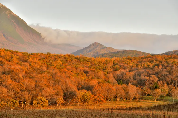 Shiretoko National Park autumn