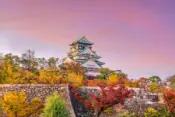 osaka castle autumn