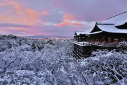 Kyoto in Winter