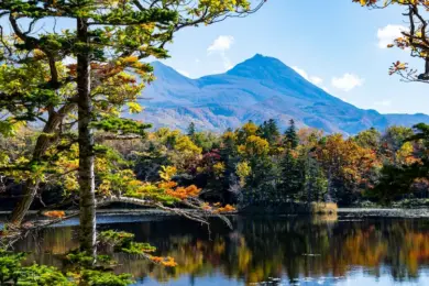 Shiretoko National Park autumn