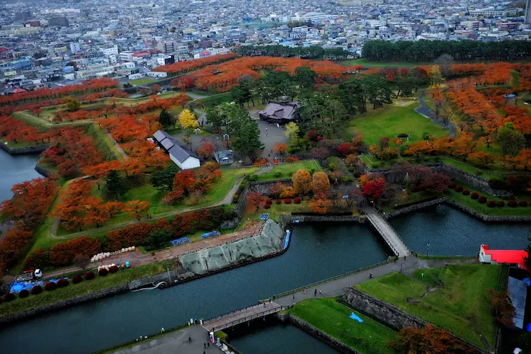 goryokaku park autumn