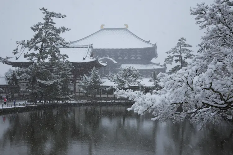 todai ji snow