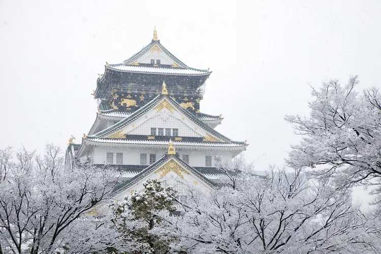 Osaka Castle snow