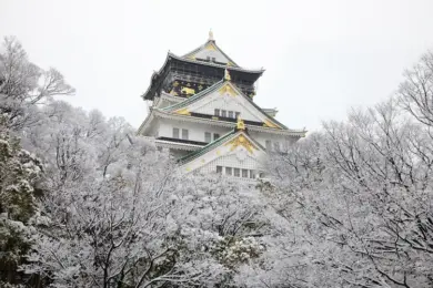 Osaka Castle