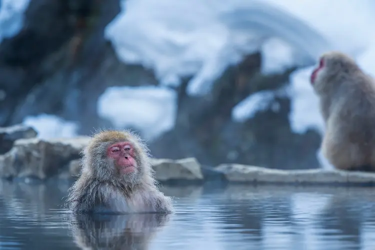 hot spring winter japan