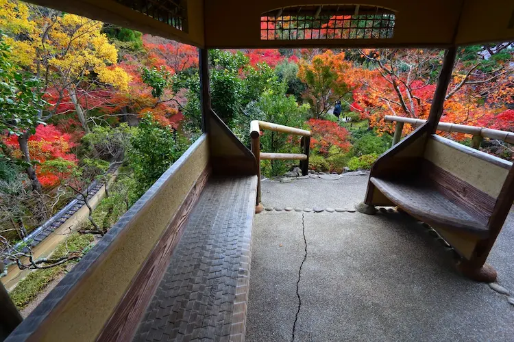 yoshikien garden autumn