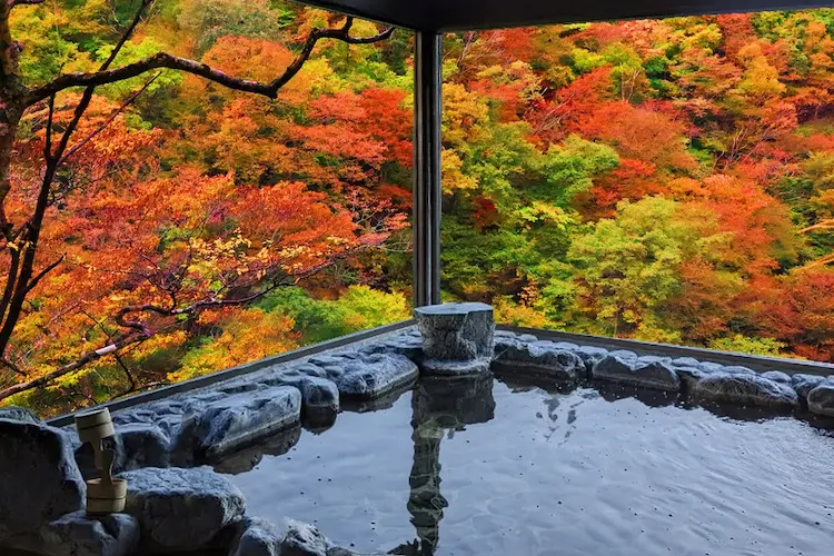 autumn hot spring