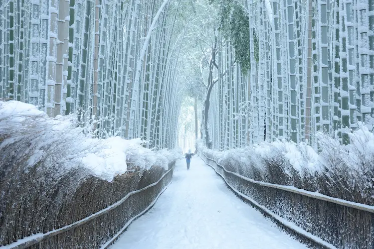 Arashiyama