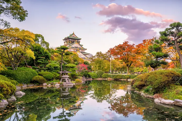 osaka castle autumn