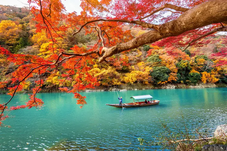 Autumn Arashiyama