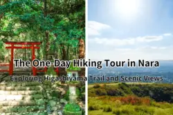 The Ultimate One-Day Hiking Tour in Nara: Exploring Higashiyama Trail and Scenic Views