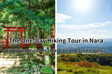 The Ultimate One-Day Hiking Tour in Nara: Exploring Higashiyama Trail and Scenic Views